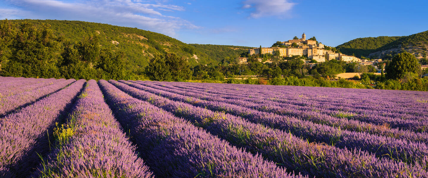 Provence - zwischen Tradition und Moderne