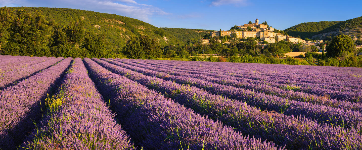 Provence - zwischen Tradition und Moderne