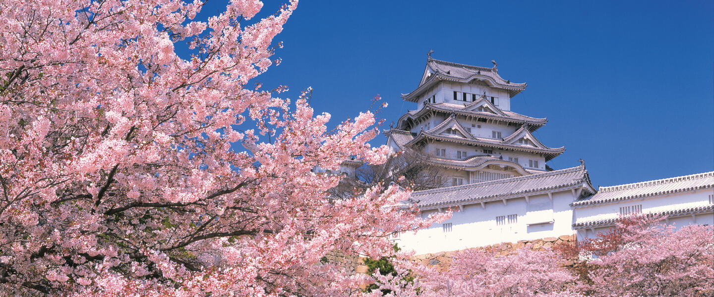 Japan für Entdecker