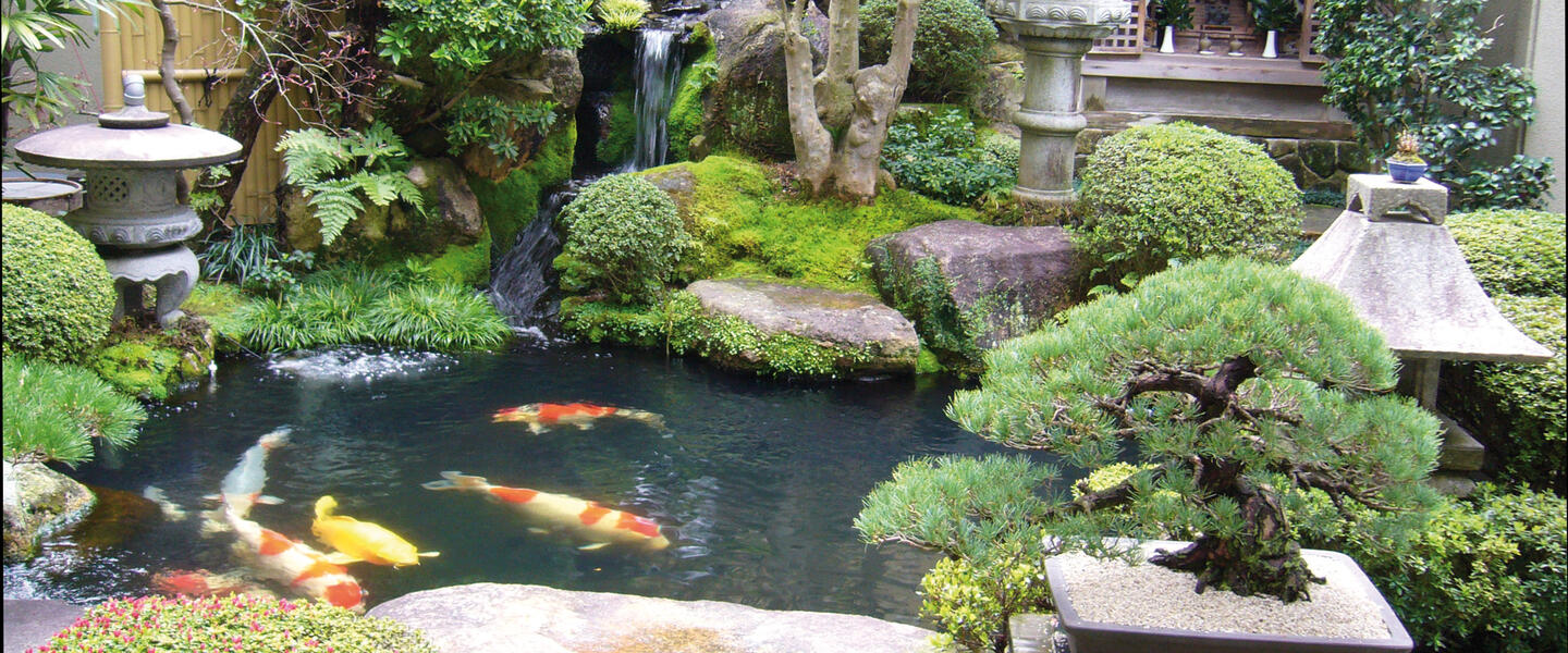 Japans prachtvolle Tempel und himmlische Gärten