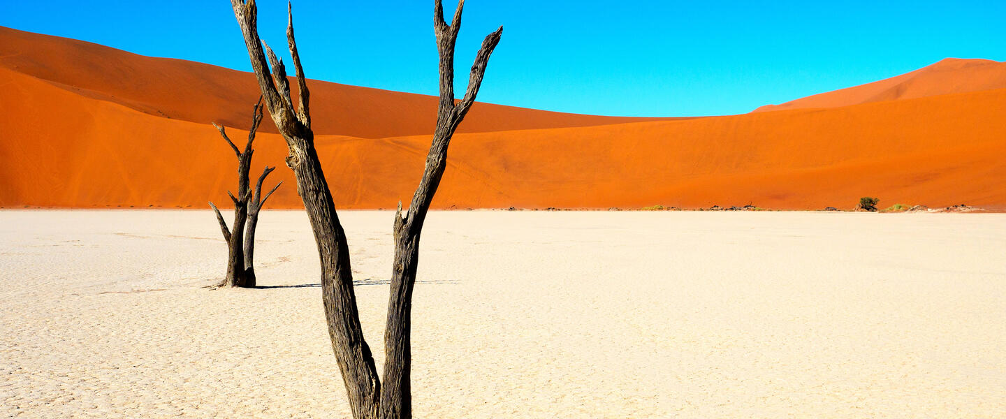 Entdeckungsreise Namibia