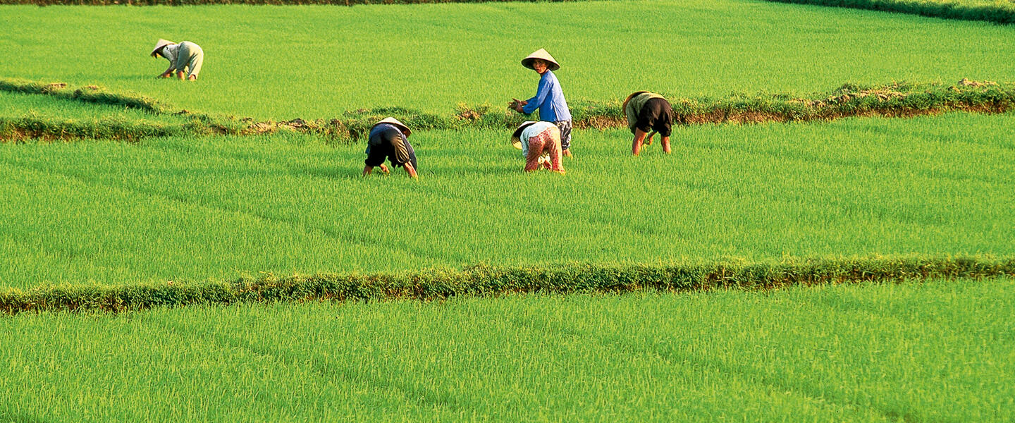 Vietnam zum Kennenlernen