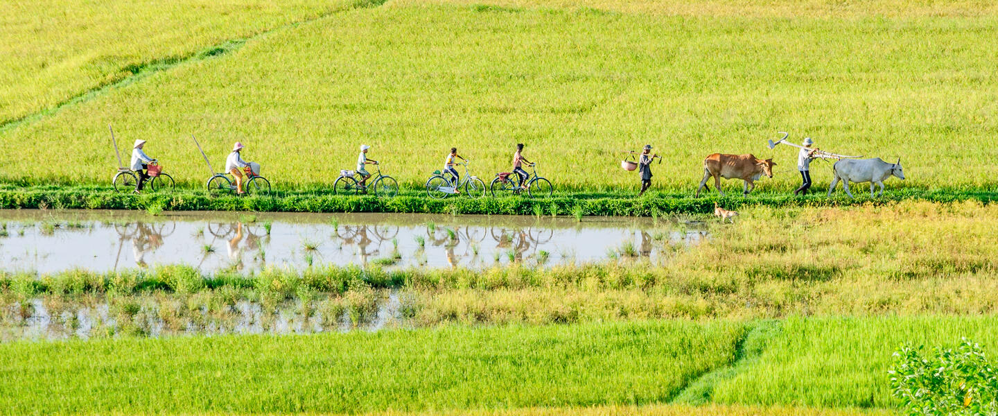 Asiatische Impressionen