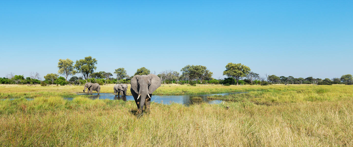 Botswana und Simbabwe - Donnernder Rauch und Okavango-Delta