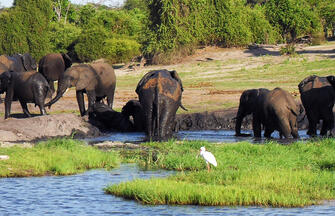 Botswana und Simbabwe - Donnernder Rauch und Okavango-Delta