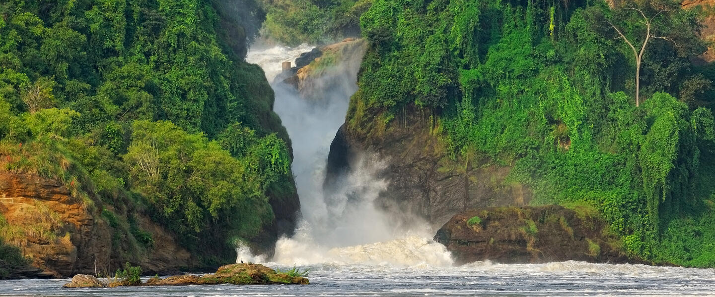 Uganda - Im Land der Berggorillas