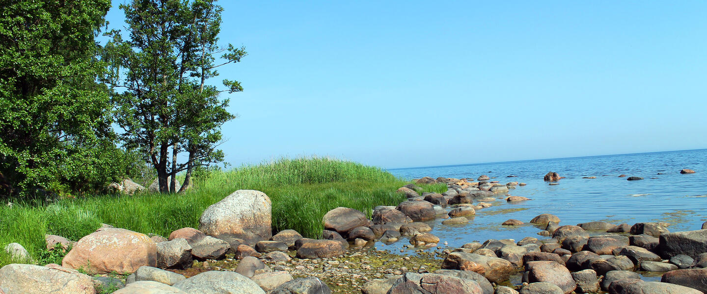 Wandern im Baltikum