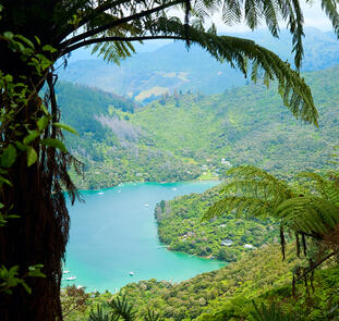 Neuseelandsafari - von Auckland nach Christchurch
