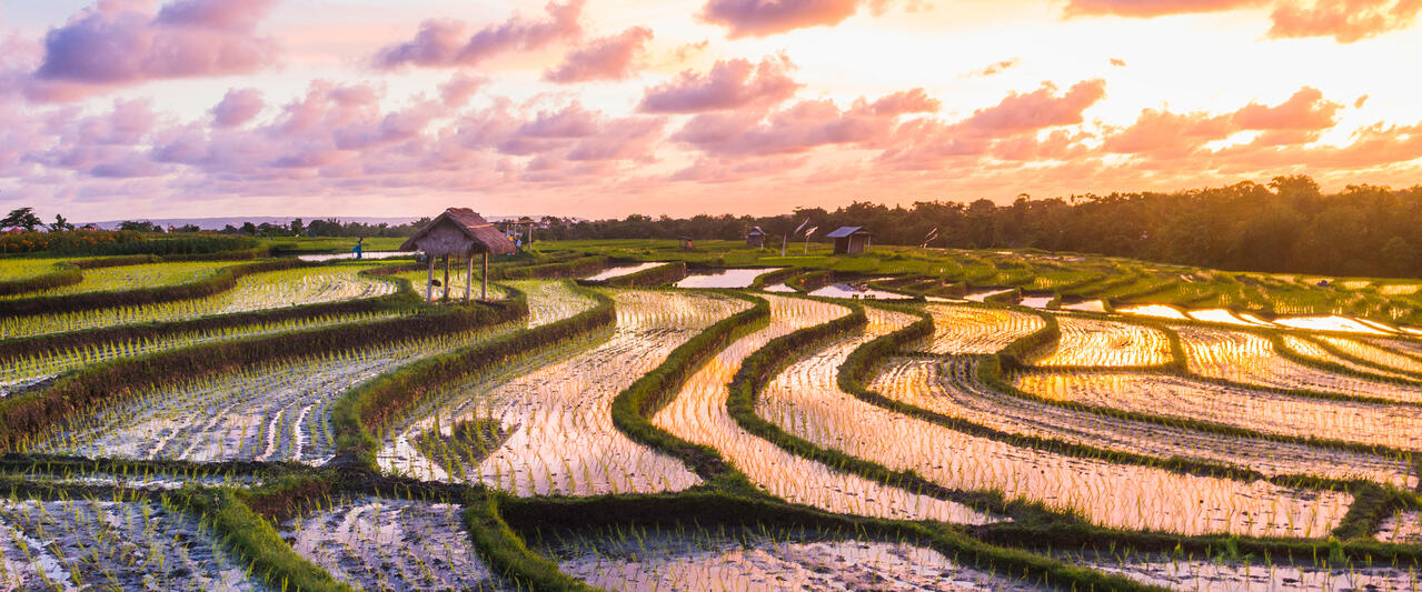 Nusa Dua Beach Hotel & Spa, Bali, Nusa Dua