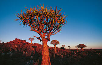 Maison Ambre Guesthouse, Windhoek