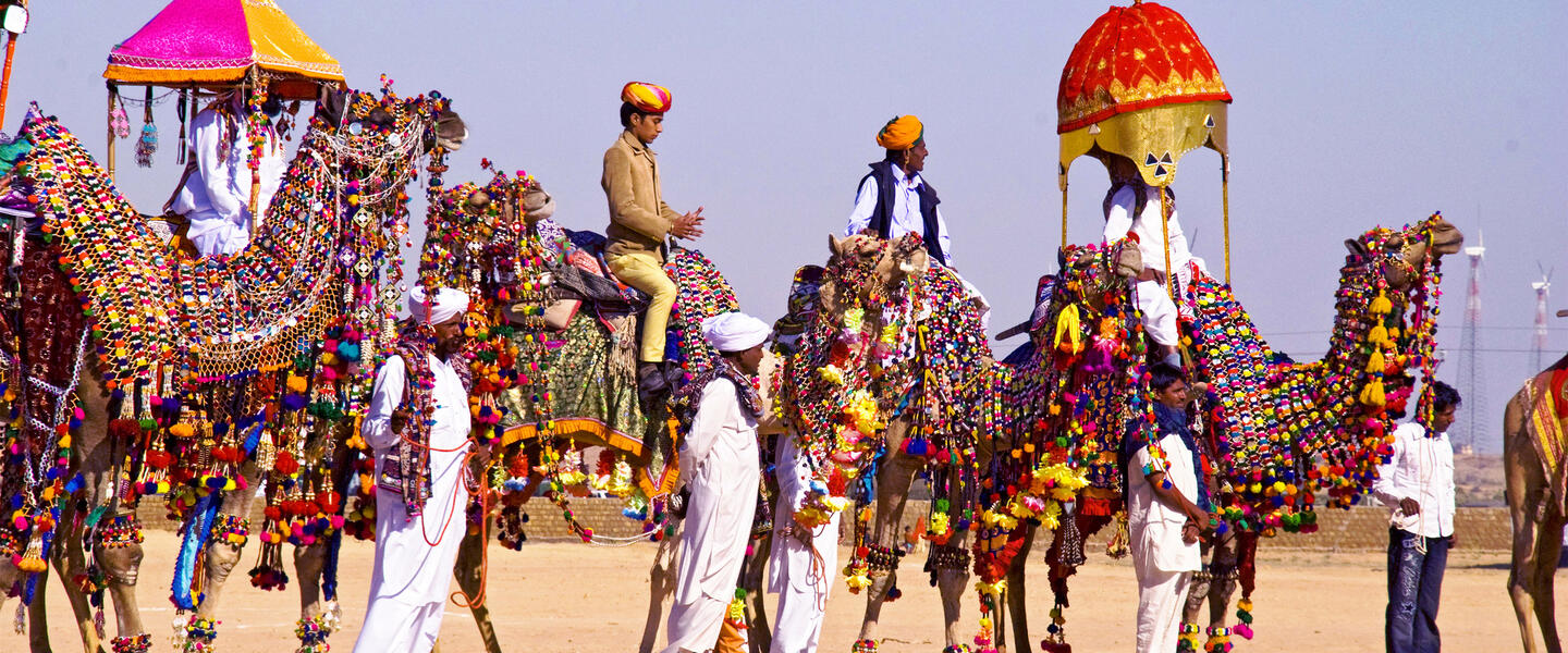 Rajasthan ─ das Land der Rajputen entdecken