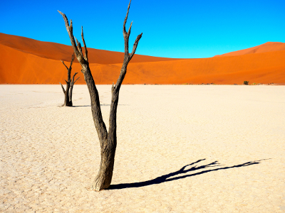 Gruppenreise Namibia - Namib