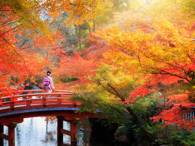 Japan zur Herbstlaubfärbung: Eine Frau im Kimono geht über eine rote Brücke, umgeben von Bäumen mit roten, orangen und gelben Blättern